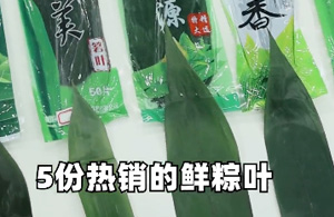 小心！这样的粽叶千万别买！