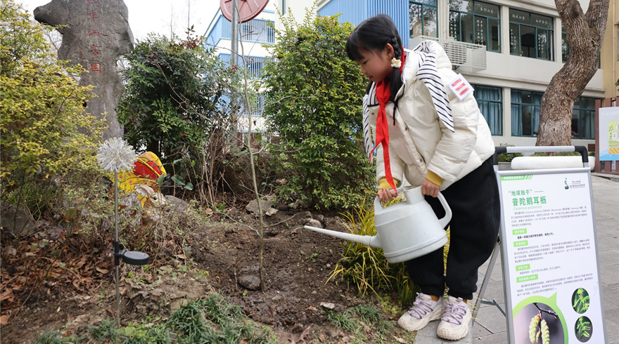 与珍稀植物零距离，守护世界生物多样性