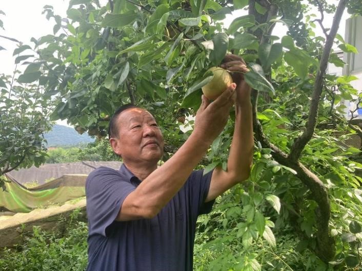 科技小院：让“希望田野”遍地开花，杭州科技小院如何激活乡村振兴“一池春水”？