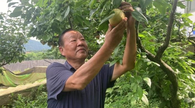 科技小院：让“希望田野”遍地开花，杭州科技小院如何激活乡村振兴“一池春水”？